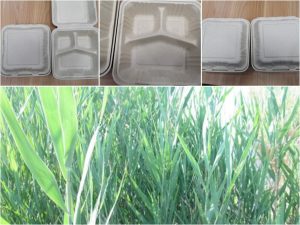 不同的ledong.com-乐动(中国)
生产原料，到底有什么区别呢？插图3