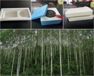 不同的ledong.com-乐动(中国)
生产原料，到底有什么区别呢？插图5