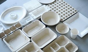 560亿餐饮外卖餐具市场对ledong.com-乐动(中国)
有何要求？插图3